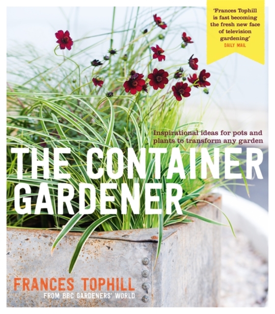 The Container Gardener, Paperback / softback Book