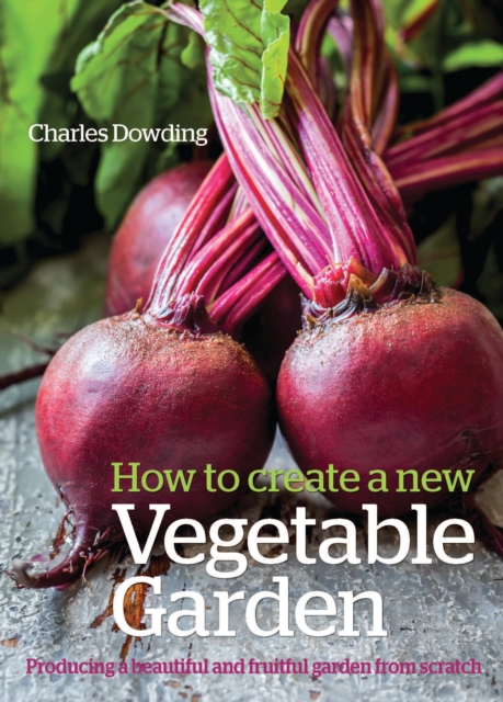 How to Create a New Vegetable Garden : Producing a Beautiful and Fruitful Garden from Scratch, Hardback Book