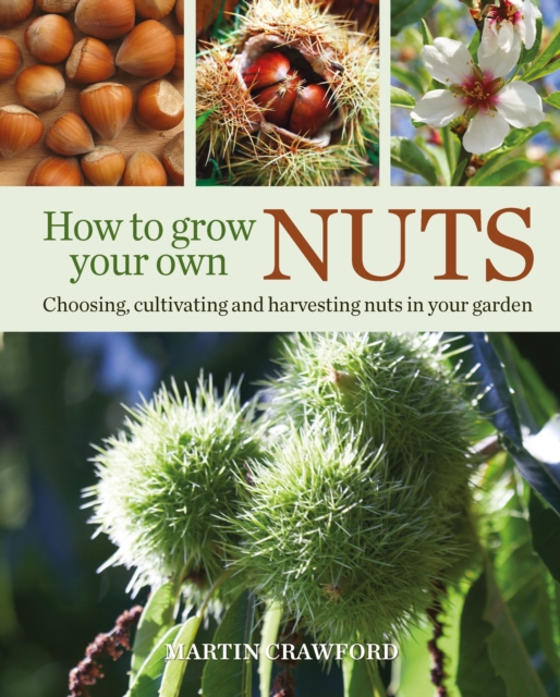 How to Grow Your Own Nuts : Choosing, Cultivating and Harvesting Nuts in Your Garden, Hardback Book