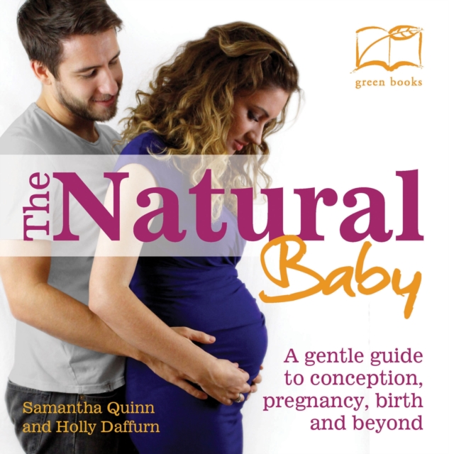 The Natural Baby : A Gentle Guide to Conception, Pregnancy, Birth and Beyond, Paperback / softback Book