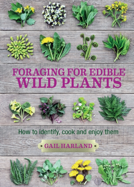 Foraging for Edible Wild Plants : How to Identify, Cook and Enjoy Them, Paperback / softback Book