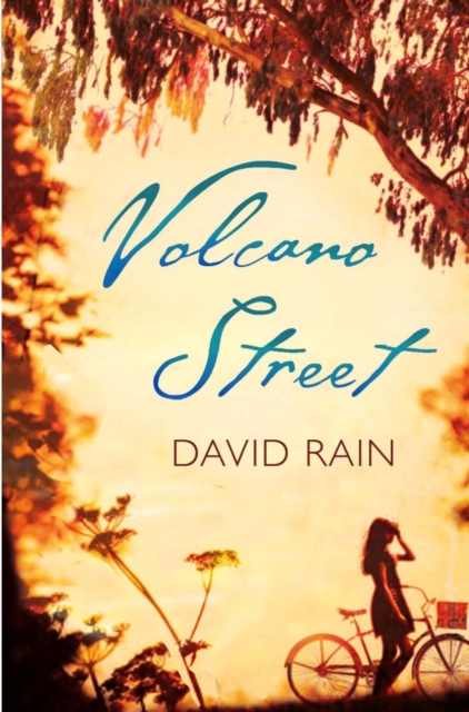 Volcano Street, Paperback / softback Book
