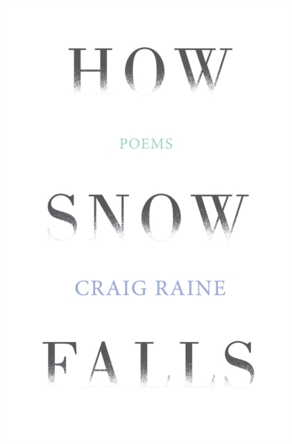 How Snow Falls, EPUB eBook