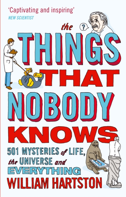 The Things that Nobody Knows : 501 Mysteries of Life, the Universe and Everything, Paperback / softback Book
