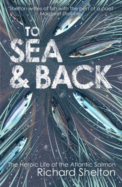 To Sea and Back, EPUB eBook
