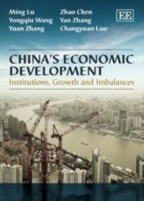 China's Economic Development : Institutions, Growth and Imbalances, PDF eBook