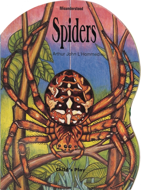 Spiders, Board book Book