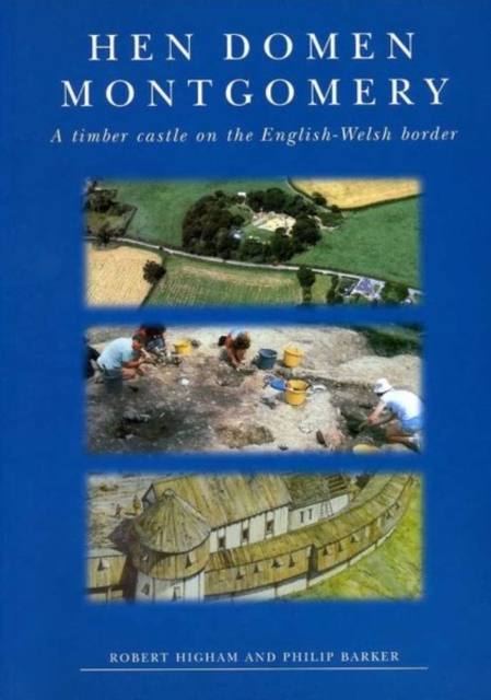 Hen Domen, Montgomery : A Timber Castle on the English-Welsh Border, Paperback / softback Book