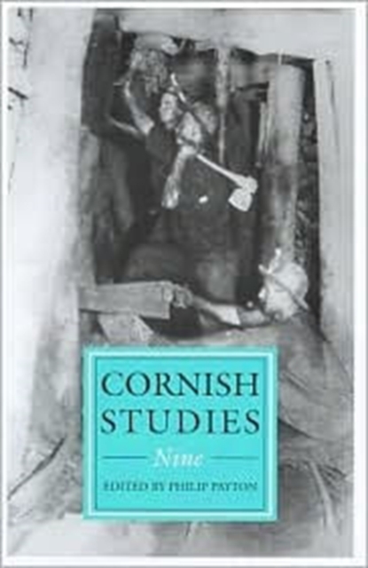 Cornish Studies Volume 9, Paperback / softback Book