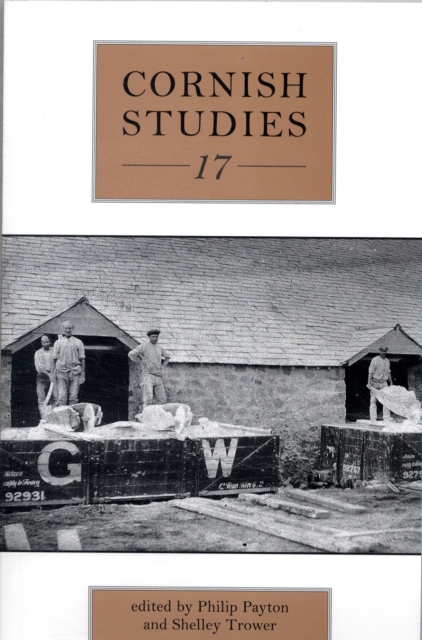 Cornish Studies Volume 17, Paperback / softback Book