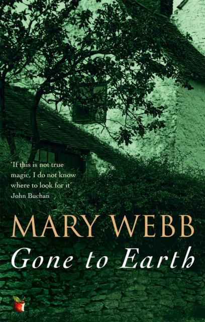 Gone To Earth, Paperback / softback Book
