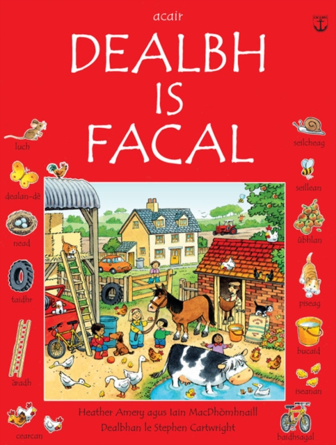 Dealbh is Facal, Paperback / softback Book