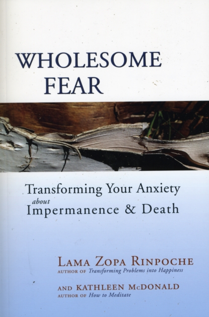 Wholesome Fear : Transforming Your Anxiety About Impermanence and Death, Paperback / softback Book