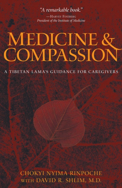 Medicine and Compassion : A Tibetan Lama's Guidance for Caregivers, EPUB eBook