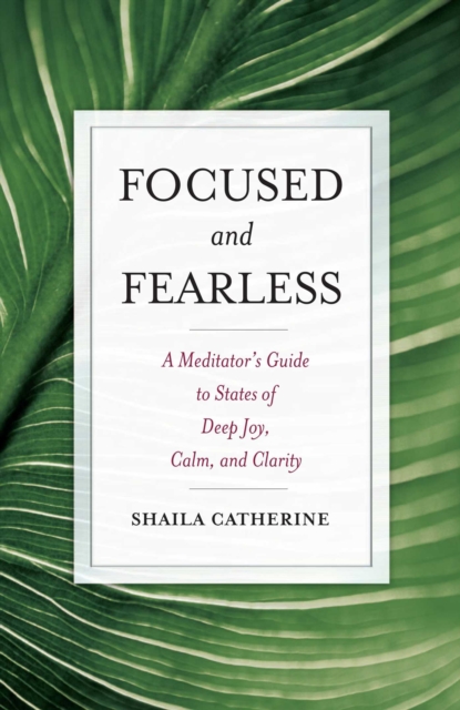 Focused and Fearless : A Meditator's Guide to States of Deep Joy, Calm, and Clarity, EPUB eBook