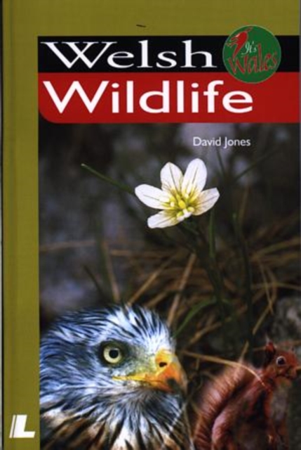 It's Wales: Welsh Wildlife, Paperback / softback Book