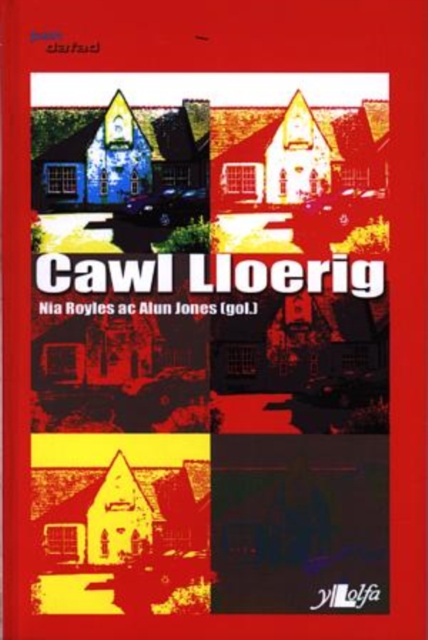 Cyfres Pen Dafad: Cawl Lloerig, Paperback / softback Book