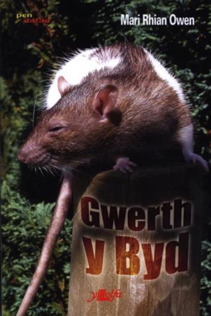 Cyfres Pen Dafad: Gwerth y Byd, Paperback / softback Book