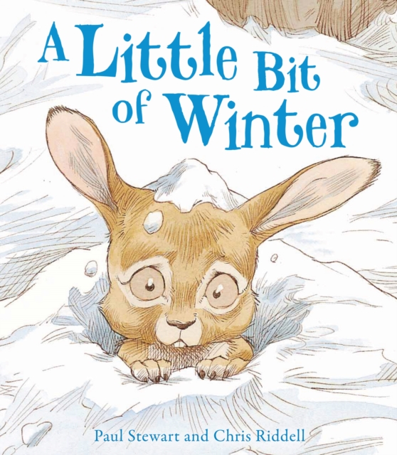 A Little Bit Of Winter, Paperback / softback Book