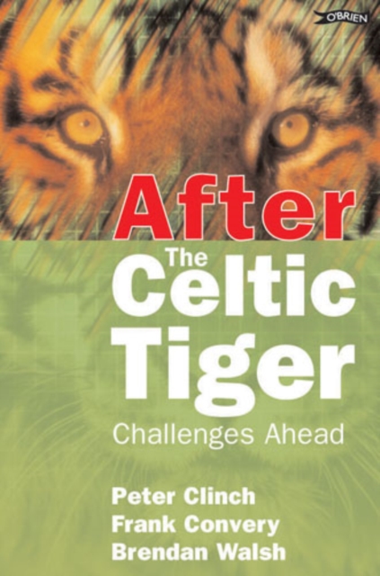 After the Celtic Tiger : Challenges Ahead, Paperback / softback Book