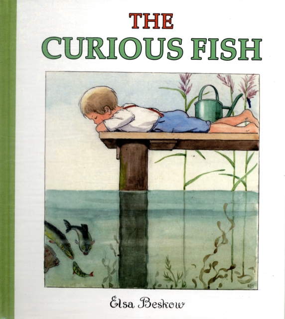The Curious Fish, Hardback Book