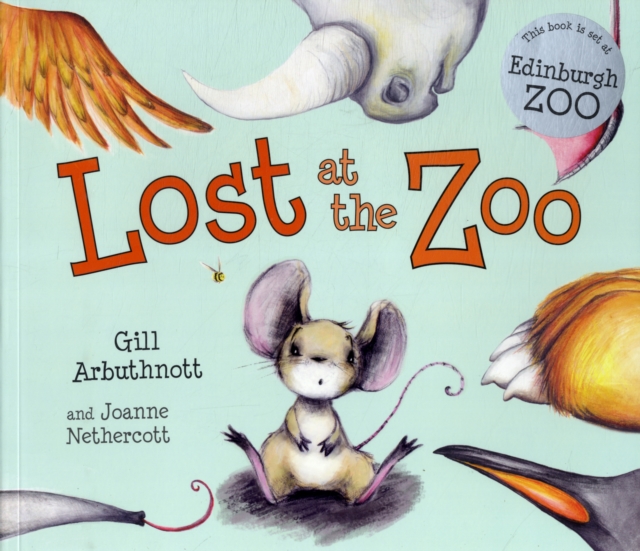 Lost at the Zoo, Paperback / softback Book