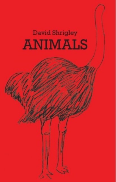 David Shrigley : Animals, Hardback Book