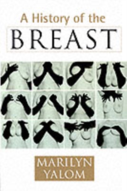 A History of the Breast, Paperback / softback Book