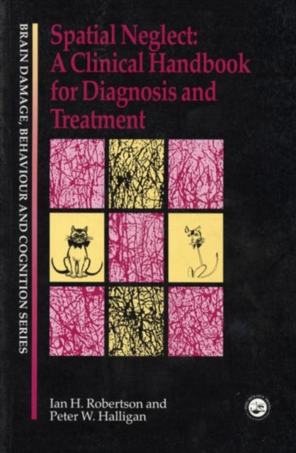 Spatial Neglect : A Clinical Handbook for Diagnosis and Treatment, Paperback / softback Book