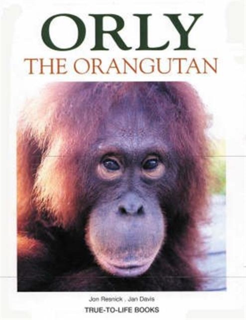 Orly the Orangutan, Paperback Book