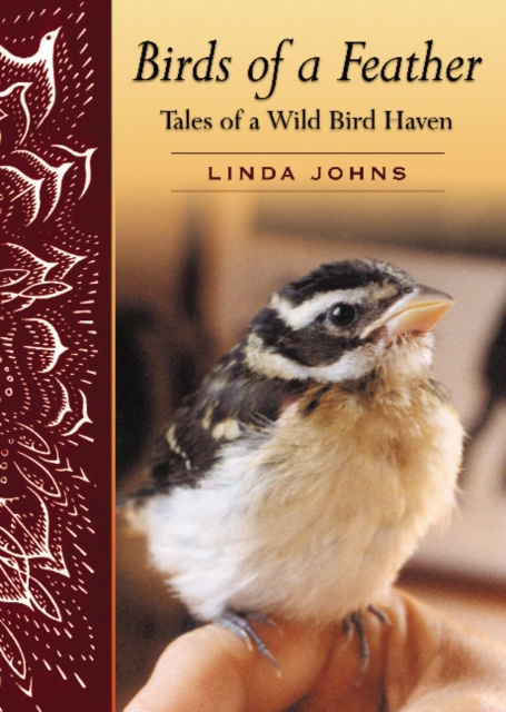 Birds of a Feather : Tales of a Wild Bird Haven, Paperback / softback Book