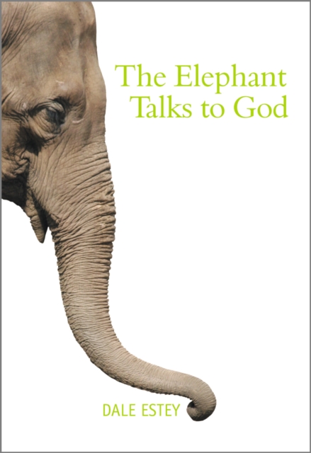 The Elephant Talks to God, Paperback / softback Book