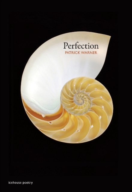 Perfection, Paperback / softback Book