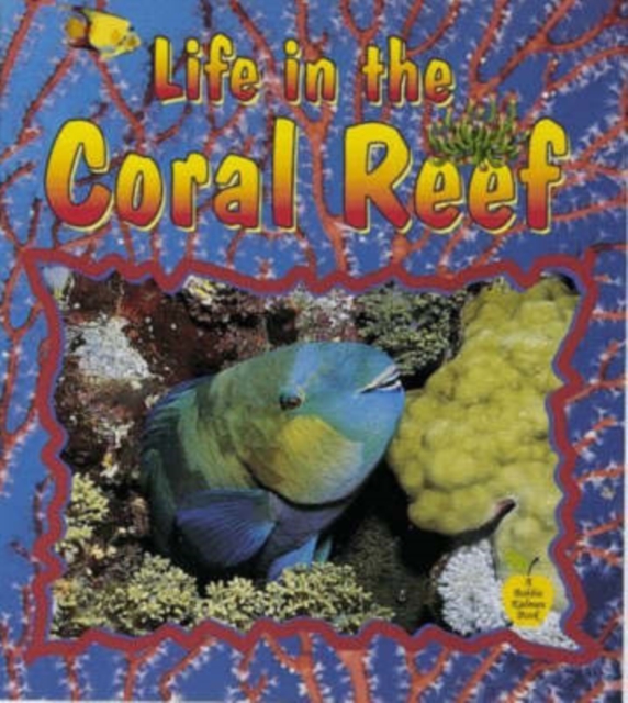 Life in the Coral Reef, Paperback / softback Book