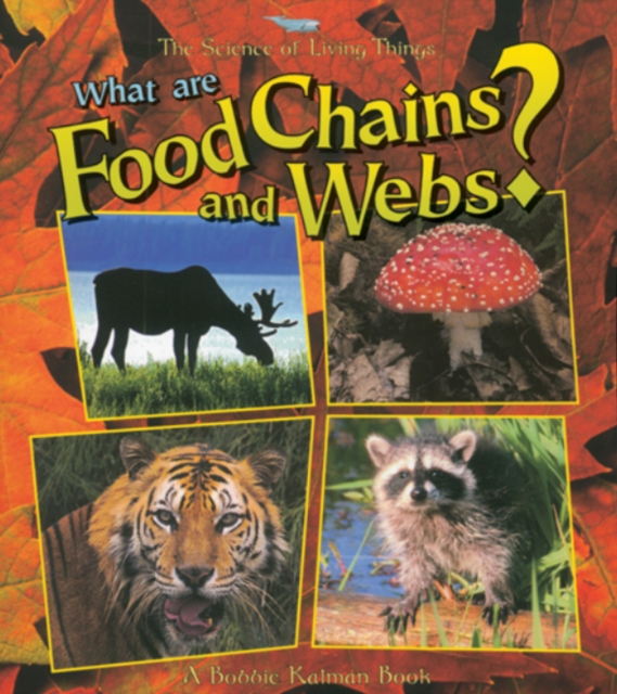 What Are Food Chains and Webs?, Paperback / softback Book