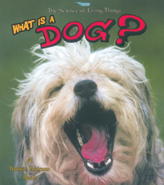 What Is a Dog, Paperback / softback Book