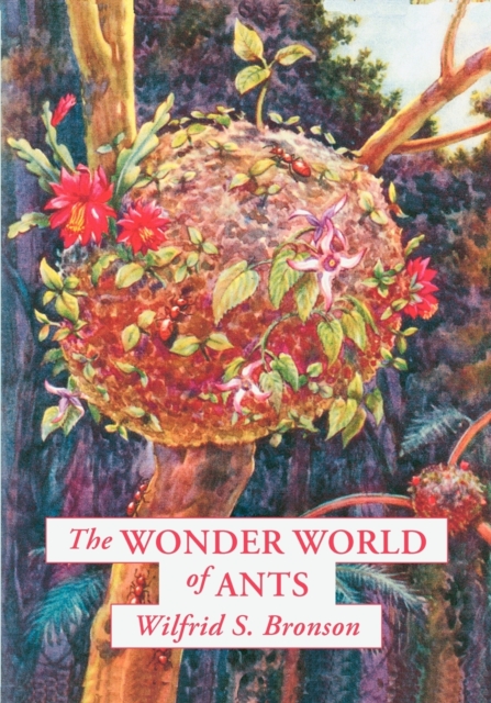 The Wonder World of Ants, Paperback / softback Book