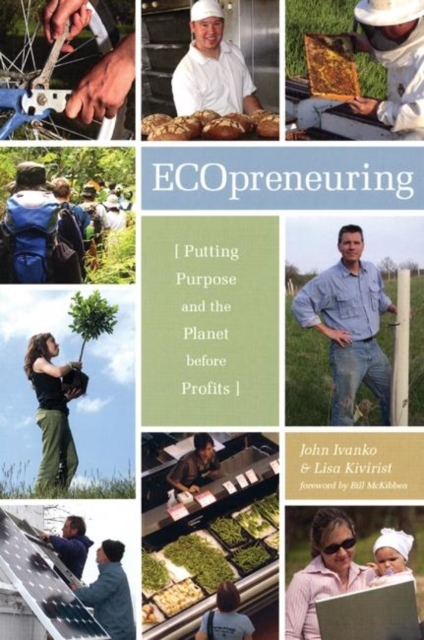 Ecopreneuring : Putting Purpose and the Planet Before Profits, Paperback / softback Book