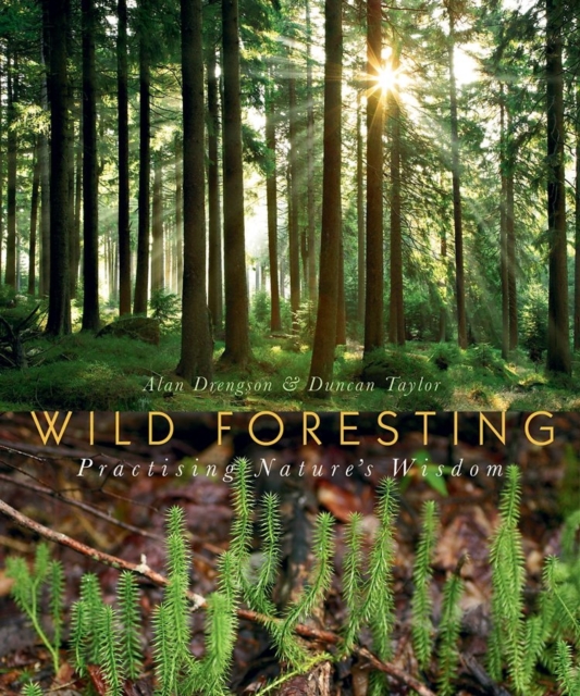 Wild Foresting : Practicing Nature's Wisdom, Paperback Book