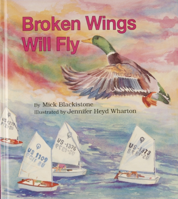 Broken Wings Will Fly, Hardback Book