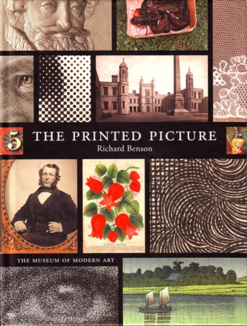 The Printed Picture, Hardback Book