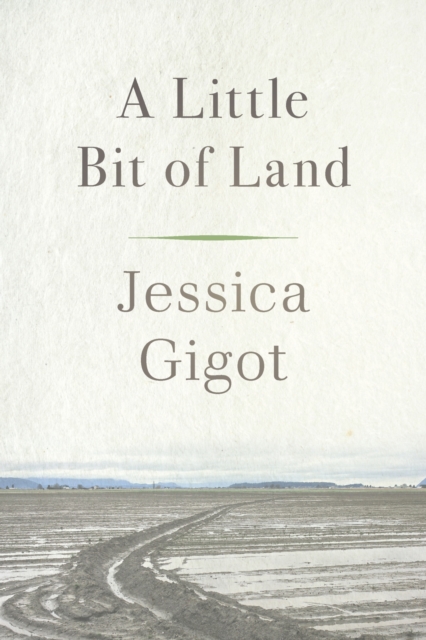A Little Bit of Land, Paperback / softback Book
