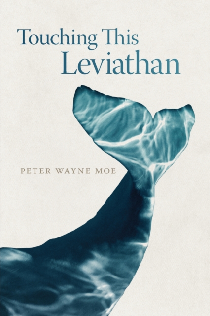 Touching This Leviathan, Paperback / softback Book