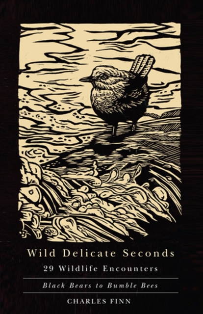 Wild Delicate Seconds : 29 Wildlife Encounters, Paperback / softback Book