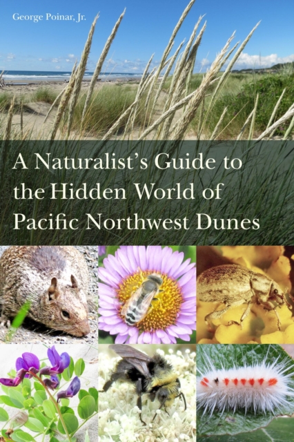 A Naturalist's Guide to the Hidden World of Pacific Northwest Dunes, Paperback / softback Book