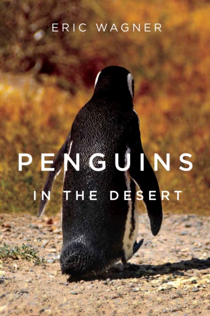 Penguins in the Desert, Paperback / softback Book