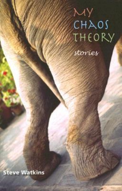 My Chaos Theory : Stories, Hardback Book