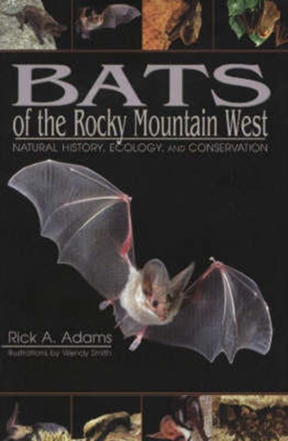Bats of the Rocky Mountain West : Natural History, Ecology, and Conservation, Hardback Book