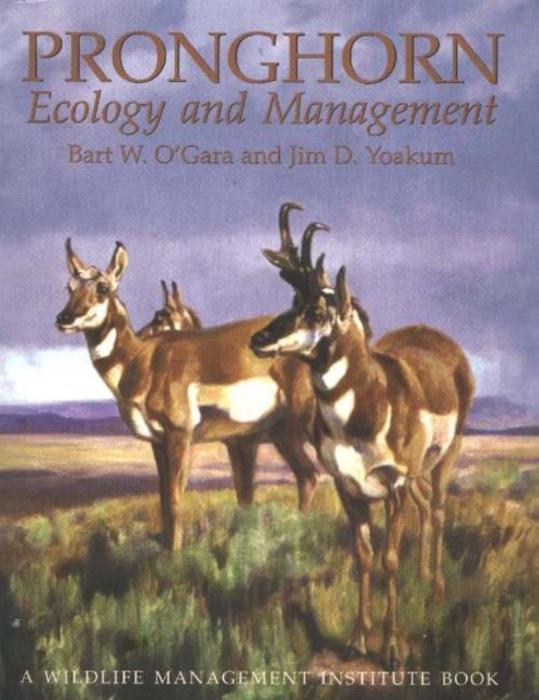 Pronghorn : Ecology & Mangemt: Ecology and Management, Hardback Book