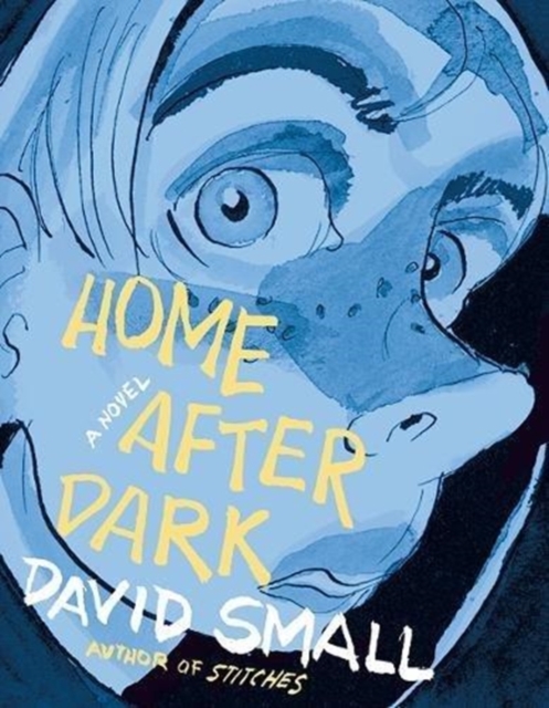 Home After Dark : A Novel, Hardback Book